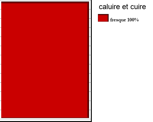 caluire+et+cuire