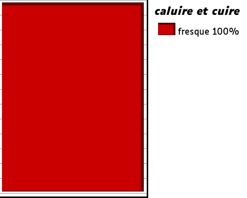 caluire+et+cuire